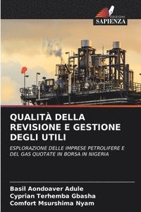 bokomslag Qualità Della Revisione E Gestione Degli Utili