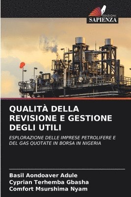 bokomslag Qualit Della Revisione E Gestione Degli Utili