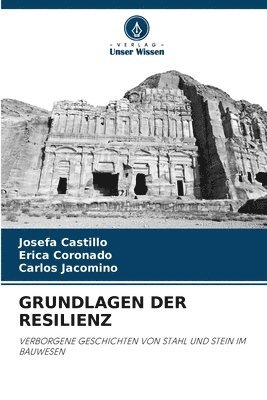 Grundlagen Der Resilienz 1