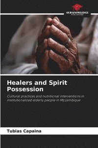 bokomslag Healers and Spirit Possession