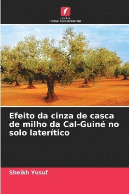 bokomslag Efeito da cinza de casca de milho da Cal-Guiné no solo laterítico