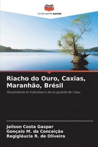 bokomslag Riacho do Ouro, Caxias, Maranhão, Brésil