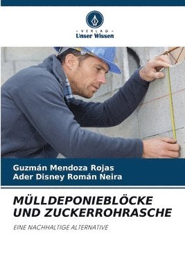 Mülldeponieblöcke Und Zuckerrohrasche 1