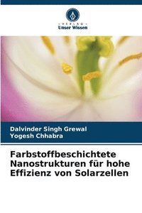 bokomslag Farbstoffbeschichtete Nanostrukturen fr hohe Effizienz von Solarzellen