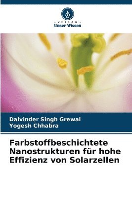 Farbstoffbeschichtete Nanostrukturen fr hohe Effizienz von Solarzellen 1