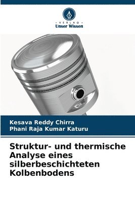 Struktur- und thermische Analyse eines silberbeschichteten Kolbenbodens 1