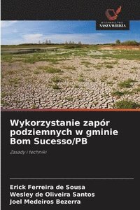 bokomslag Wykorzystanie zapór podziemnych w gminie Bom Sucesso/PB