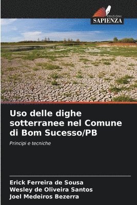 bokomslag Uso delle dighe sotterranee nel Comune di Bom Sucesso/PB