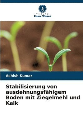 bokomslag Stabilisierung von ausdehnungsfhigem Boden mit Ziegelmehl und Kalk