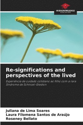 bokomslag Re-significations and perspectives of the lived