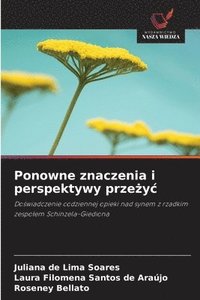 bokomslag Ponowne znaczenia i perspektywy prze&#380;yc