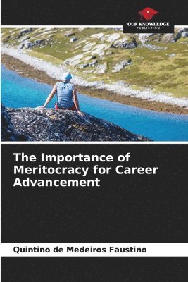 bokomslag The Importance of Meritocracy for Career Advancement