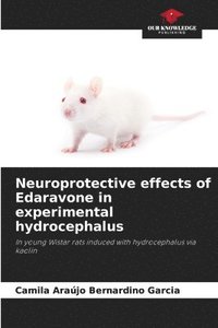 bokomslag Neuroprotective effects of Edaravone in experimental hydrocephalus