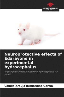 bokomslag Neuroprotective effects of Edaravone in experimental hydrocephalus