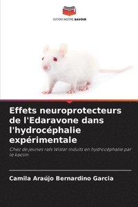 bokomslag Effets neuroprotecteurs de l'Edaravone dans l'hydrocéphalie expérimentale