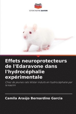 Effets neuroprotecteurs de l'Edaravone dans l'hydrocéphalie expérimentale