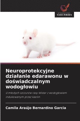 bokomslag Neuroprotekcyjne dzialanie edarawonu w do&#347;wiadczalnym wodoglowiu