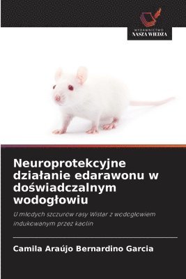 Neuroprotekcyjne dzialanie edarawonu w doświadczalnym wodoglowiu