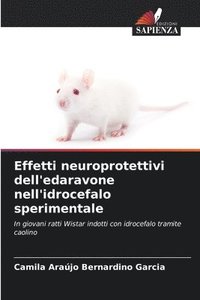 bokomslag Effetti neuroprotettivi dell'edaravone nell'idrocefalo sperimentale