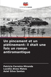 bokomslag Un pincement et un piétinement: il était une fois un roman antiromantique