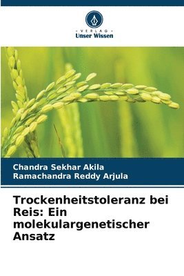 bokomslag Trockenheitstoleranz bei Reis: Ein molekulargenetischer Ansatz