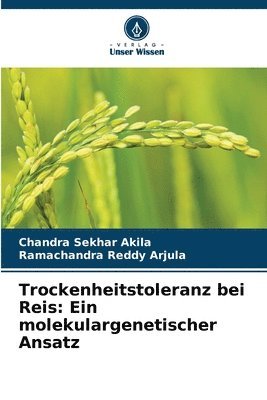 Trockenheitstoleranz bei Reis