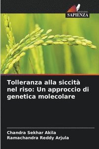 bokomslag Tolleranza alla siccità nel riso: Un approccio di genetica molecolare