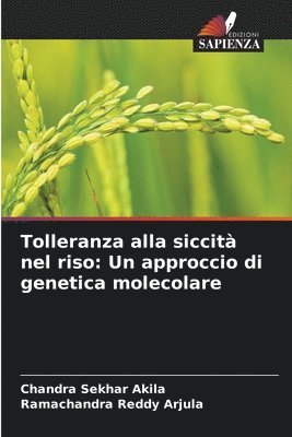 bokomslag Tolleranza alla siccità nel riso: Un approccio di genetica molecolare