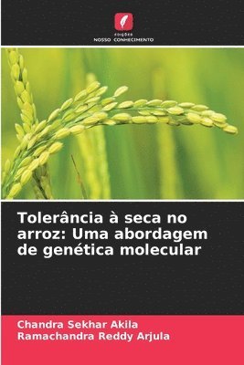bokomslag Tolerância à seca no arroz