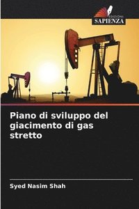 bokomslag Piano di sviluppo del giacimento di gas stretto