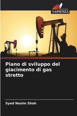 Syed Nasim Shah - Piano di sviluppo del giacimento di gas stretto, Häftad