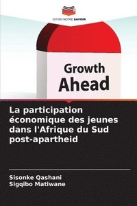 bokomslag La participation conomique des jeunes dans l'Afrique du Sud post-apartheid