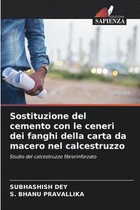 bokomslag Sostituzione del cemento con le ceneri dei fanghi della carta da macero nel calcestruzzo