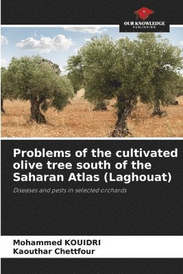 Problems of the cultivated olive tree south of the Saharan Atlas (Laghouat)