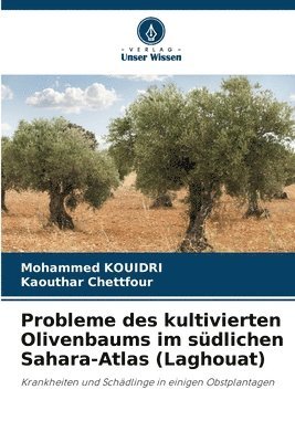 bokomslag Probleme des kultivierten Olivenbaums im sdlichen Sahara-Atlas (Laghouat)