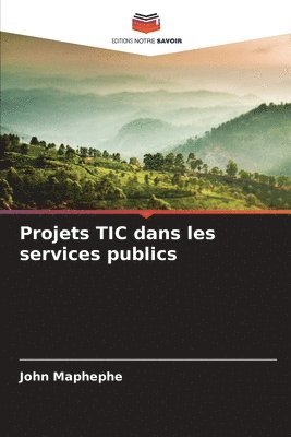 bokomslag Projets TIC dans les services publics