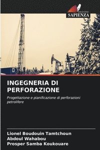 bokomslag Ingegneria Di Perforazione