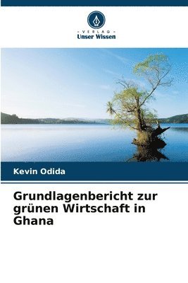 bokomslag Grundlagenbericht zur grünen Wirtschaft in Ghana