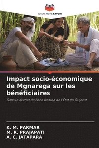 bokomslag Impact socio-économique de Mgnarega sur les bénéficiaires