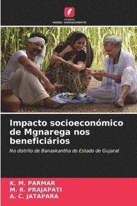 bokomslag Impacto socioeconmico de Mgnarega nos beneficirios