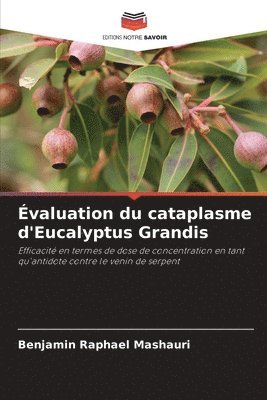 valuation du cataplasme d'Eucalyptus Grandis 1