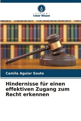 Hindernisse für einen effektiven Zugang zum Recht erkennen