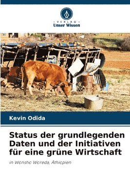 Status der grundlegenden Daten und der Initiativen für eine grüne Wirtschaft