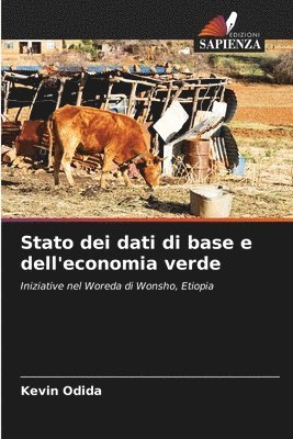 bokomslag Stato dei dati di base e dell'economia verde