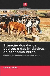 bokomslag Situao dos dados bsicos e das iniciativas de economia verde