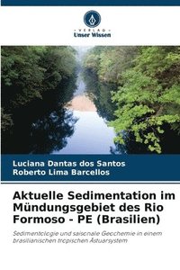 bokomslag Aktuelle Sedimentation im Mndungsgebiet des Rio Formoso - PE (Brasilien)