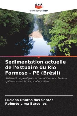 bokomslag Sédimentation actuelle de l'estuaire du Rio Formoso - PE (Brésil)