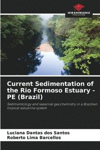 bokomslag Current Sedimentation of the Rio Formoso Estuary - PE (Brazil)