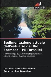 bokomslag Sedimentazione attuale dell'estuario del Rio Formoso - PE (Brasile)