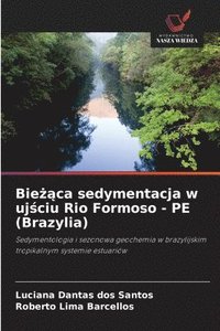 bokomslag Bie&#380;&#261;ca sedymentacja w uj&#347;ciu Rio Formoso - PE (Brazylia)